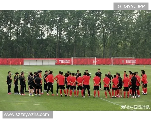 足球等级解析：从业余到职业的全面指南与发展路径探讨