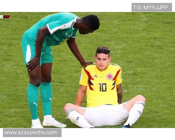 塞内加尔与哥伦比亚激战在即谁将赢得这场精彩对决